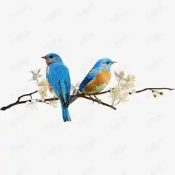  画眉鸟和花素材图片免费下载高清装饰图案png千库网图片编号7800247