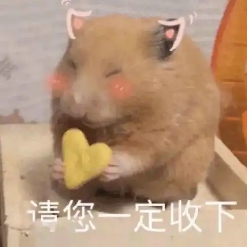  大学生黑话指南