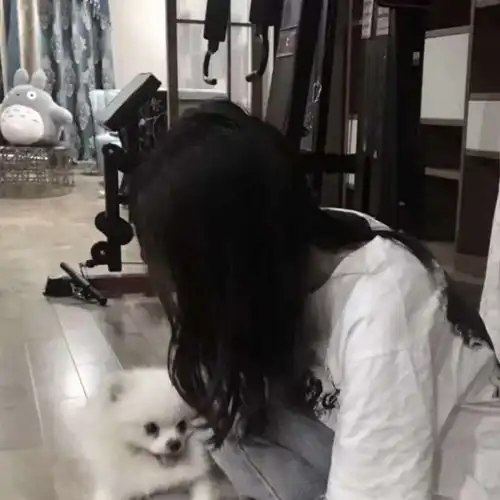  一遥真人情侣头像对象不是人系列持续更新