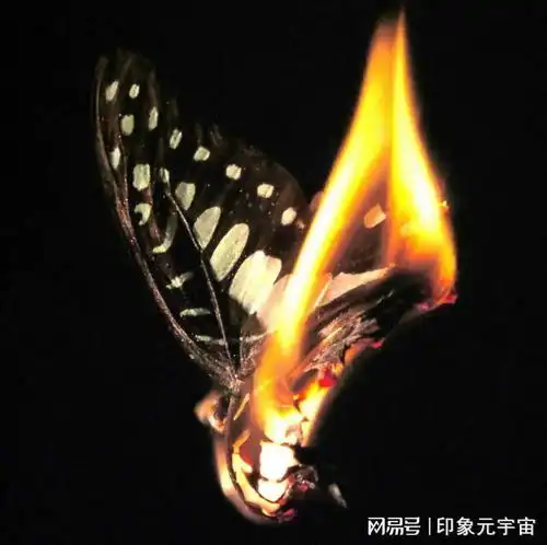  像素头像还在热炒