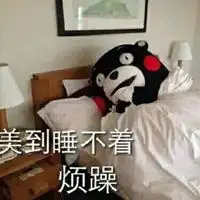  硬是睡不着表情包