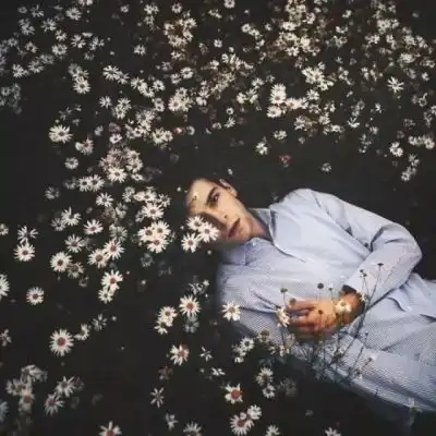  宿醉情侣头像鹅没有鸟,孬没有情侣头像我要个性网