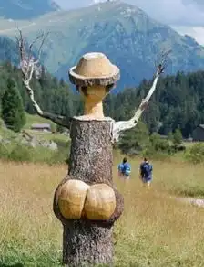  没想到竟然还有这么潮的树