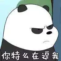 bum什么意思网络用语bum表情含义出处详解
