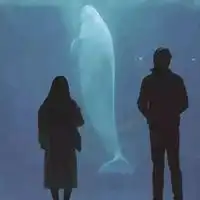  甜度爆表的情侣头像,脱单必备微信头像图片大全