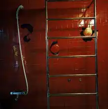  日本一色情服务店雇佣中国妇女卖淫店主被捕