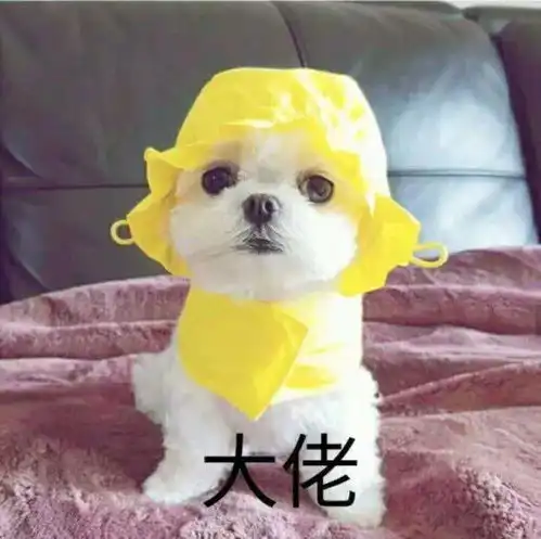  女生的饭量到底有多大