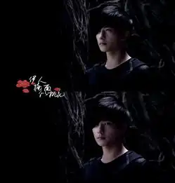  盗墓笔记杨洋张起灵