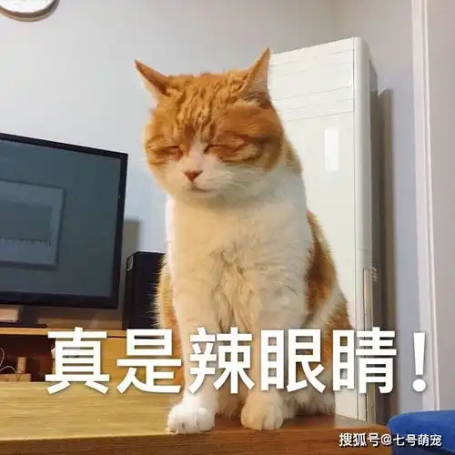 女子陪闺蜜散步,看到2楼窗口这一幕没脸看了这也太明目张胆了