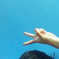 求四对唯美qq情侣伤感头像