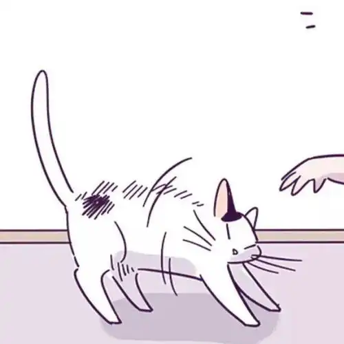  对象不是人情头