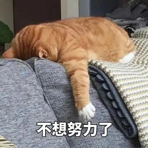  学霸专用表情包今天不学习,明天变垃圾