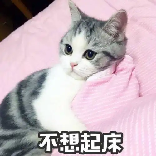  搞笑幽默的毒鸡汤段子,句句值得一笑