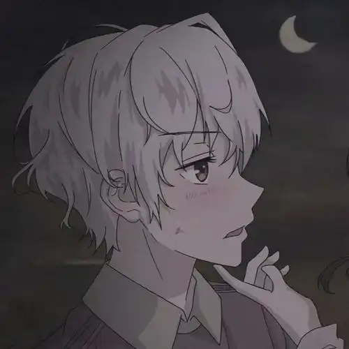  不会烂大街的爱动漫情头