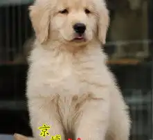  黄页88高清图片