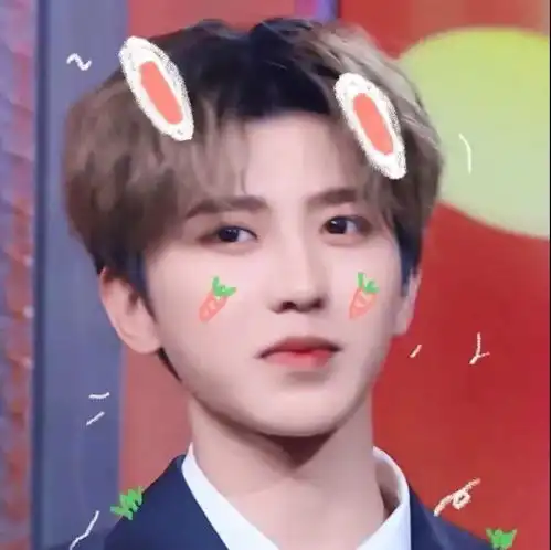  蔡徐坤可爱头像