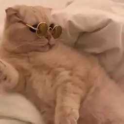  头像他对你的喜欢不过也是从新鲜感到敷衍