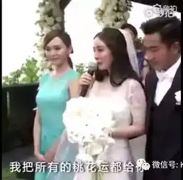 唐嫣罗晋维也纳大婚,可伴娘却不是曾经最好的闺蜜杨幂...