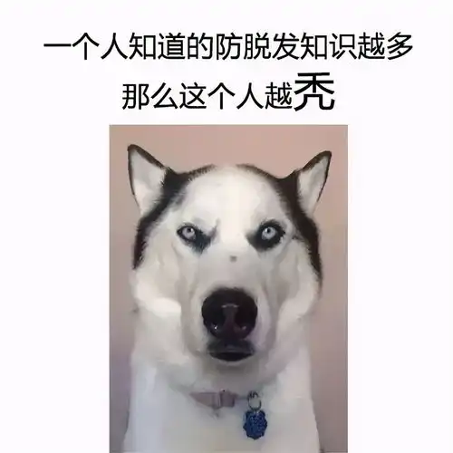  情侣间必做的十件事,你们做了吗