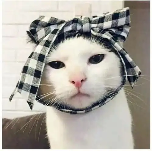  头像每洗一次头就觉得自己离秃子又近了一步