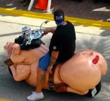  每日一笑爆笑趣事top10,无论何时何地,我的眼里只有你