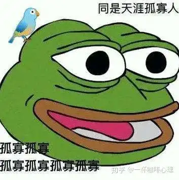  七夕青蛙意外走红的背后,揭示了社会心理的三大变化