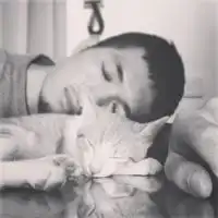  抱着猫咪的情侣头像