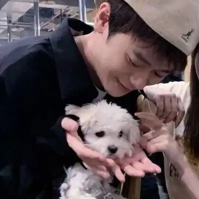  情头我想栖息在有你的地方