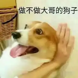  不要随意挑衅ps大神,他们会用实际告诉你学好ps走遍天下都不怕