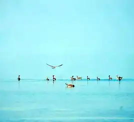  最适合情侣夫妻旅游的十个地方你们俩去过几个