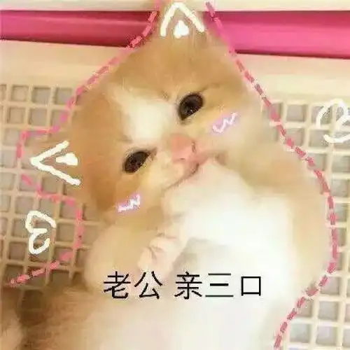  跟人撒娇专用表情包大全,收藏吧终有一天你用得着,哈哈