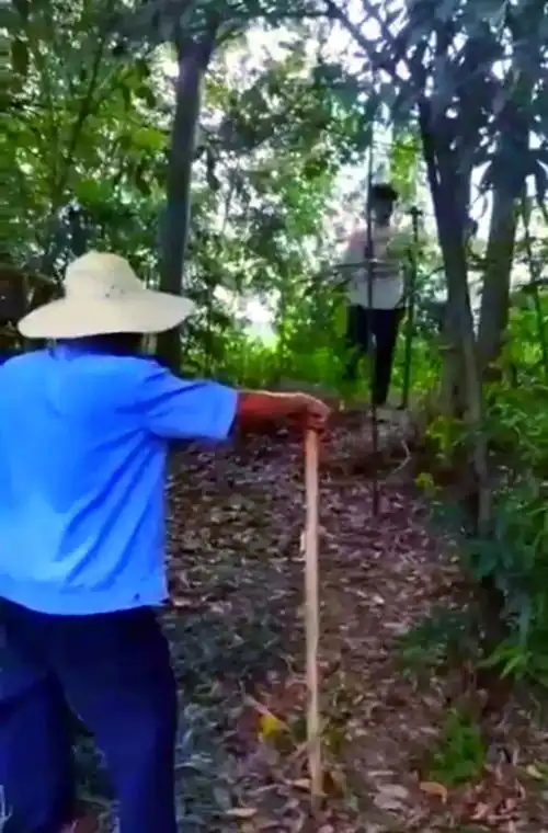  山西和湖北大学生的爱情故事