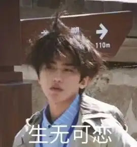  蔡徐坤表情包10000张分享,拿去开团,ikun必备