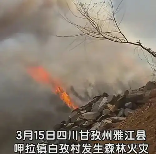 紧急四川雅江县山火已经失控,千余名消防人员紧急撤离火场四川省森林火灾网易订阅