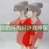  求十张十分相似的图片,情侣头像那种类型的