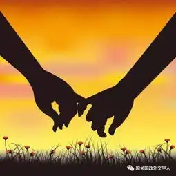  杨倩解释爱情的发生以国际关系建构主义的视角