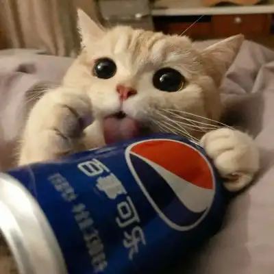  猫咪情头啊啊啊可爱