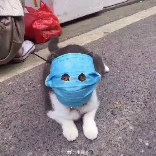 糗图榜疫情之下竟然还有情侣在公园亲热结果尴尬了