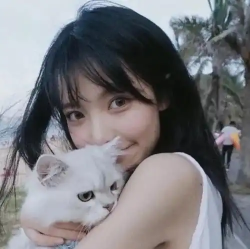  他离经叛道林婷阅