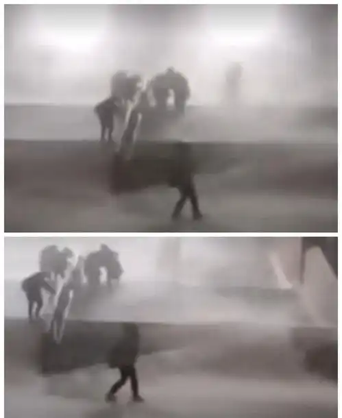  大学生在校园内被狂风暴雪吹走,网友没上课是被吹到了其他系