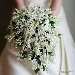  2017微信头像花草,那些花儿