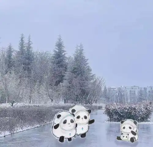 冰墩墩下班了漏ta带着雪容融来西财大打卡啦
