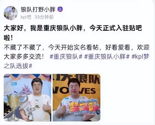  狼队小胖梦之队投票反超花海,一笙一番话引泪目,妖刀再次诛心ag