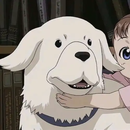  在你之后,我没有拿得出手的痛苦