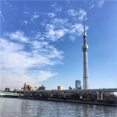  澳门电讯官网中国iosandroid通用版app最新版