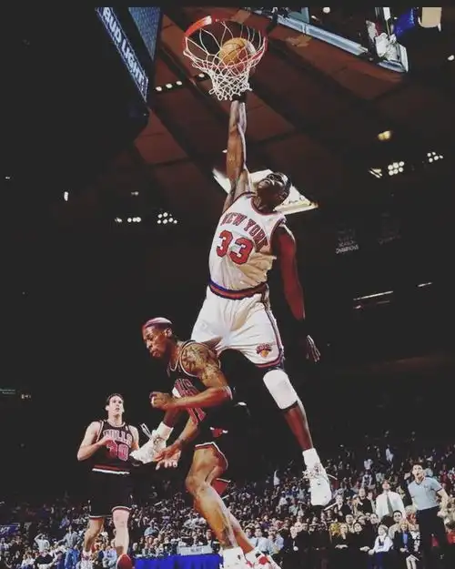  无冕之王灌篮高手中赤木刚宪的原型梦之队的内线巨灵神