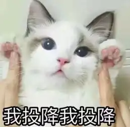 少女心炸裂这家美甲店的美甲爆红网络