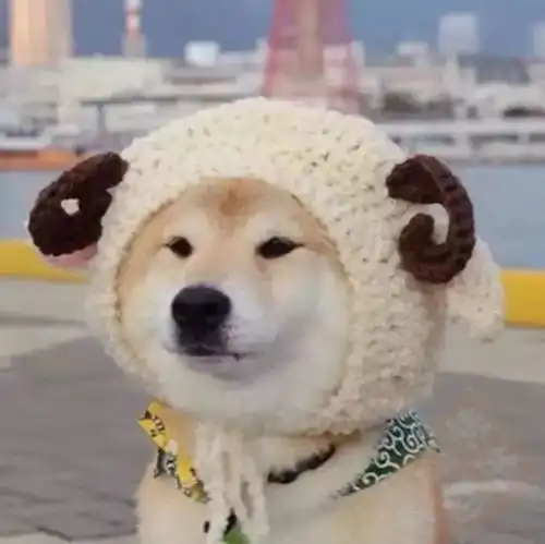  抖音超火的十大情侣头像