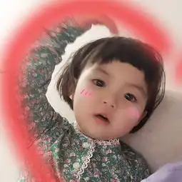 求这张图片的另一半
