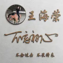  精心制作的微信姓氏头像,多重风格,肯定有你喜欢的哪一张